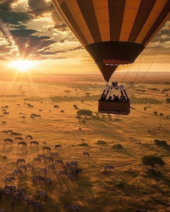 Luxury Safari Experience with premium lodges